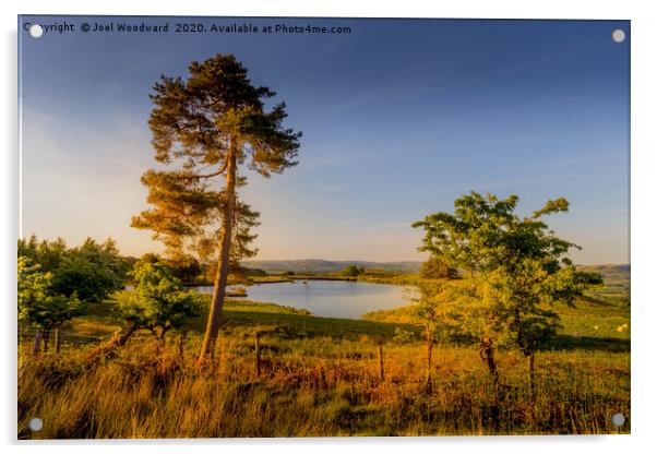 Pond At Golden Hour Acrylic by Joel Woodward