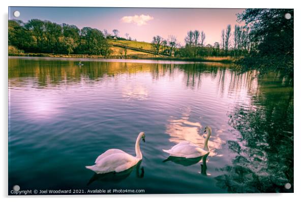 Swan Lake Acrylic by Joel Woodward