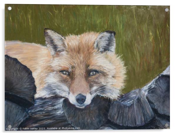 Mr Fox Looking at you Acrylic by robin oakley