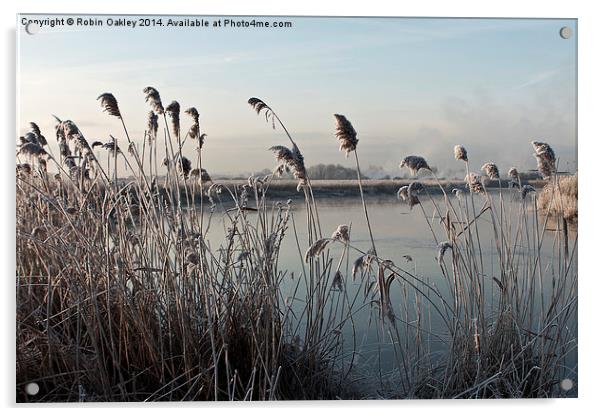  Frosty Morning  Acrylic by robin oakley