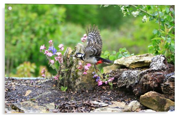 Woodland Flight Acrylic by Dave Burden