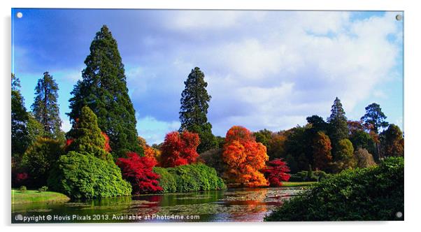 Autumn Colours Acrylic by Dave Burden