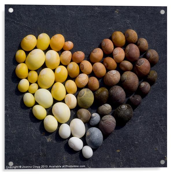Heart of Shells Acrylic by Joanna Clegg