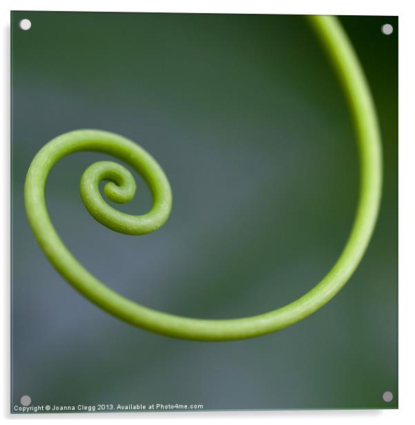 Green Curl Acrylic by Joanna Clegg