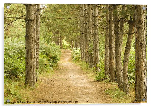 The path in the forest Acrylic by Giorgi Kevlishvili