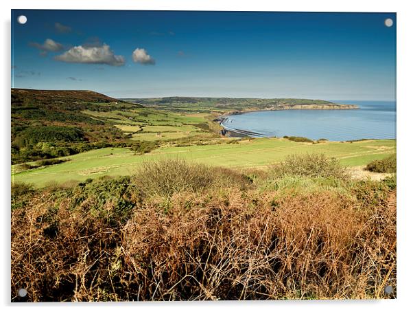   Robin Hoods Bay, North Yorkshire Panoramic Acrylic by Dave Hudspeth Landscape Photography