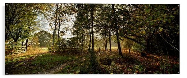  Preston Park, Stockton on Tees Panoramic Acrylic by Dave Hudspeth Landscape Photography