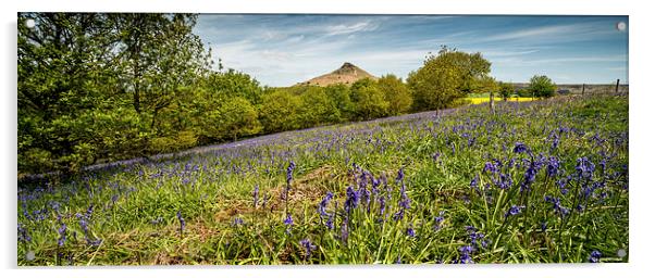 Roseberry Topping Bluebells Acrylic by Dave Hudspeth Landscape Photography