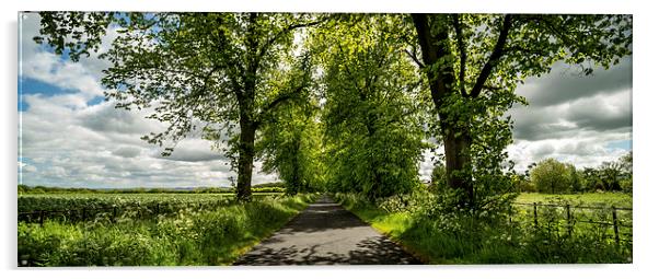 The Roman Road Acrylic by Dave Hudspeth Landscape Photography