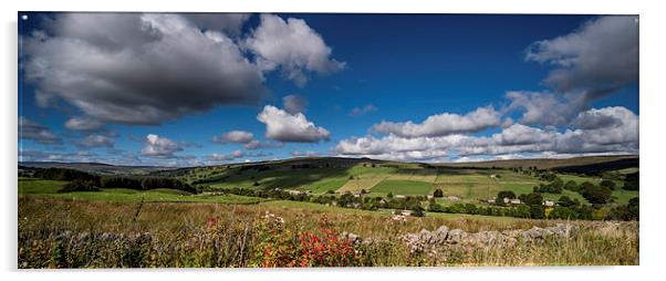 Upper Weardale Panoramic Acrylic by Dave Hudspeth Landscape Photography