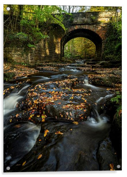 Maybeck Bridge, North Yorkshire Acrylic by Dave Hudspeth Landscape Photography