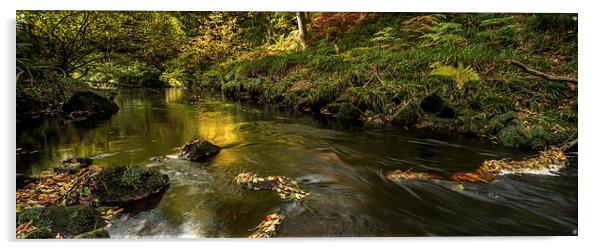 West Beck, Gothland, North Yorkshire Acrylic by Dave Hudspeth Landscape Photography