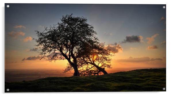 As the sun sets behind Hawthorn trees  Acrylic by Jon Fixter