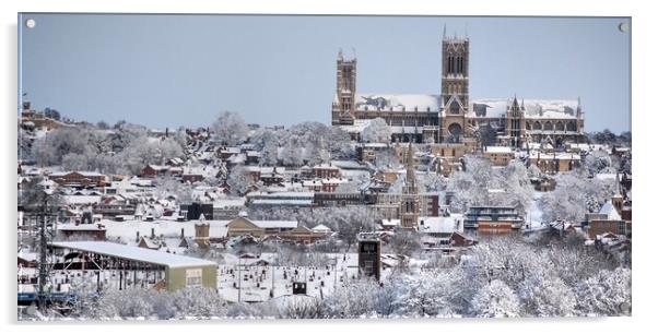 A Snowy Lincoln cathedral  Acrylic by Jon Fixter