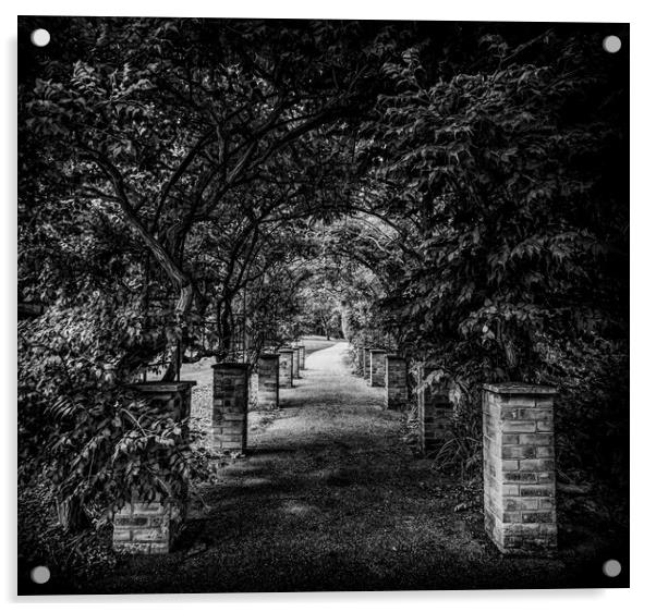Along the dark path Acrylic by Ian Johnston  LRPS
