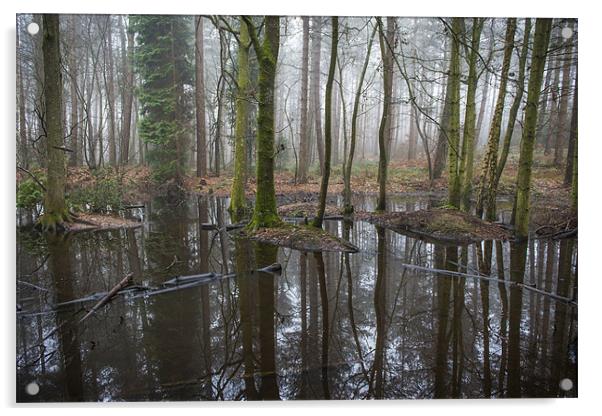 Black Forest Pond Acrylic by Ian Johnston  LRPS