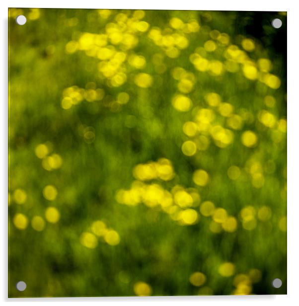 Hedgerow Abstract - Hay Fever Camera Acrylic by Ian Johnston  LRPS