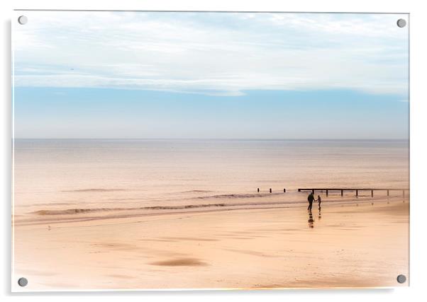 Romancing the Beach Acrylic by Ian Johnston  LRPS