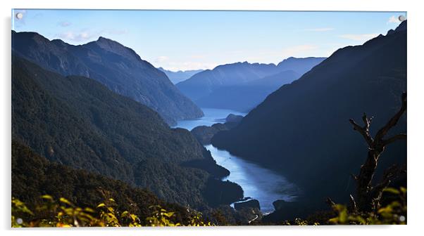 Doubtful Sound from Wilmott Pass Acrylic by