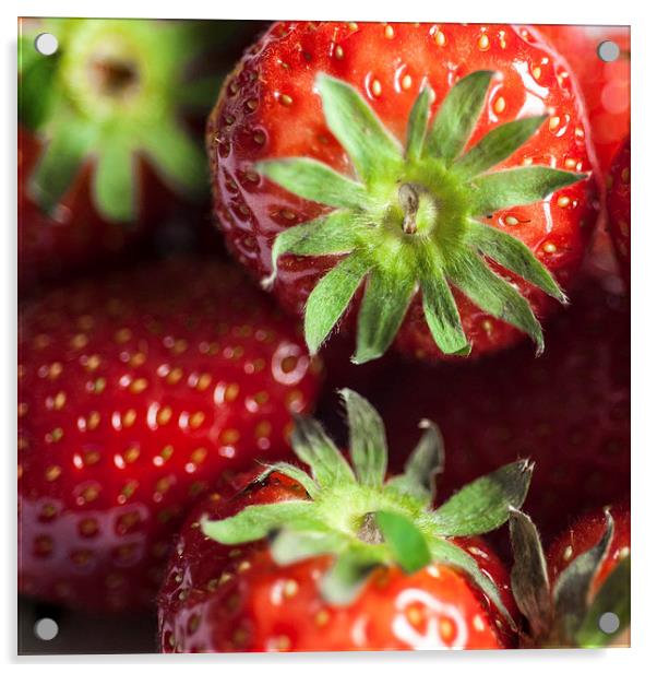 Strawberries Acrylic by Anne Whiteside