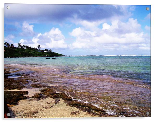 Aliomanu Beach, Kauai, Hawaii Acrylic by Marcy Morris