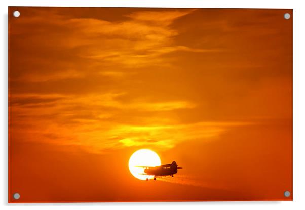 Sunset with Plane Acrylic by Mary Lane