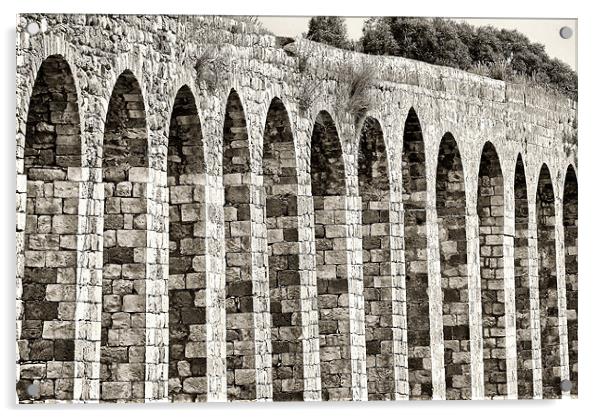 Roman Aqueduct Acrylic by Mary Lane