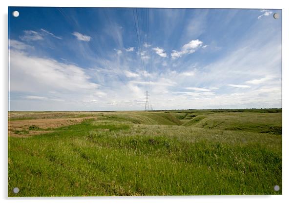 Prairie Landscape Acrylic by Mary Lane