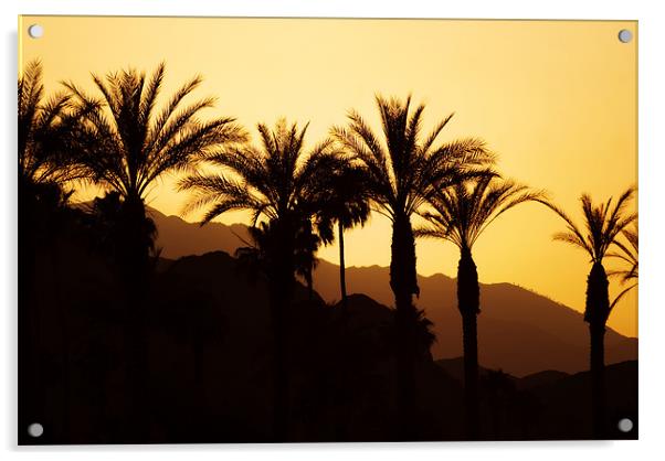 Sunset Palm Springs Acrylic by Mary Lane