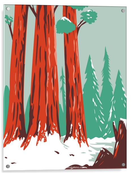 Redwood National and State Park During Winter with Coastal Redwoods Located Northern California WPA Poster Art  Acrylic by Aloysius Patrimonio