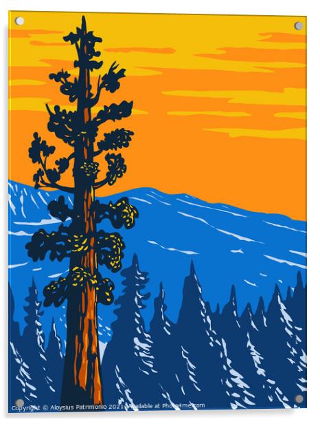 The Boole Tree Giant Sequoia in Converse Basin Grove of Giant Sequoia National Monument in Sierra Nevada Fresno County California Usa WPA Poster Art Acrylic by Aloysius Patrimonio