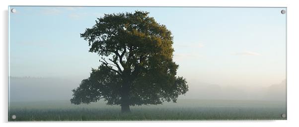 Morning Mist Acrylic by christopher darmanin