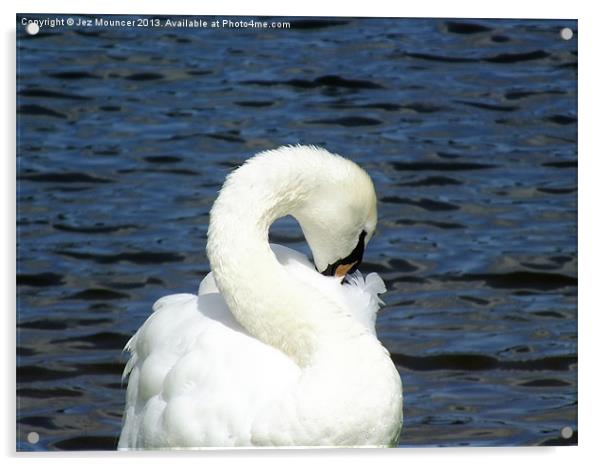 S for Swan Acrylic by Jez Mouncer
