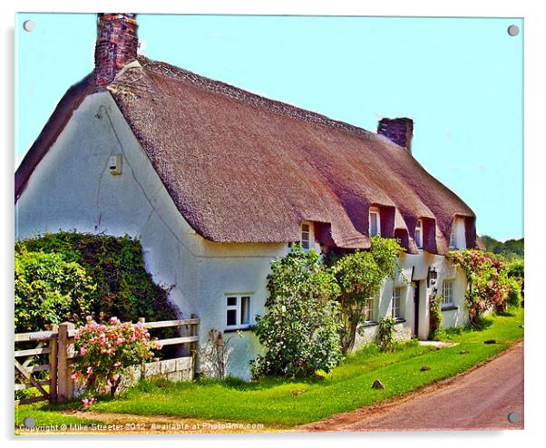 Country Cottage Acrylic by Mike Streeter