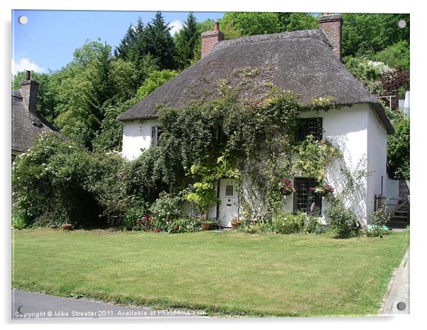 Old World Thatch Acrylic by Mike Streeter