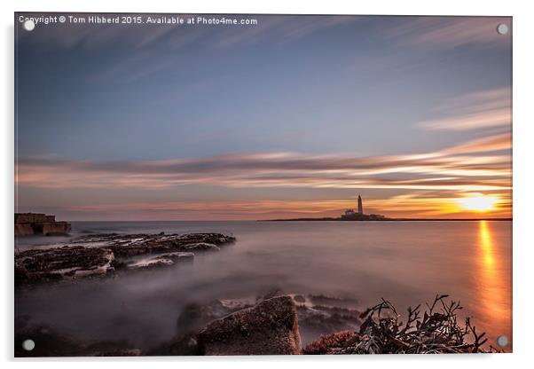  Sunrise at St Mary's Lighthouse Acrylic by Tom Hibberd