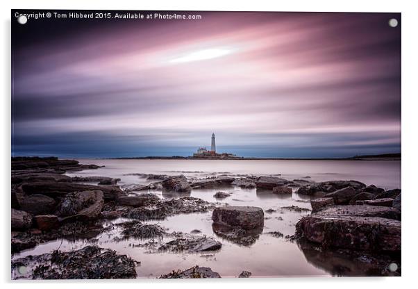  Streaking past St Mary's Lighthouse Acrylic by Tom Hibberd