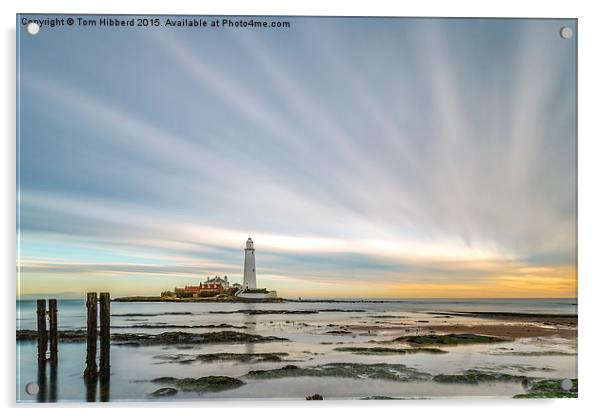  Rays from St Mary's Lighthouse Acrylic by Tom Hibberd