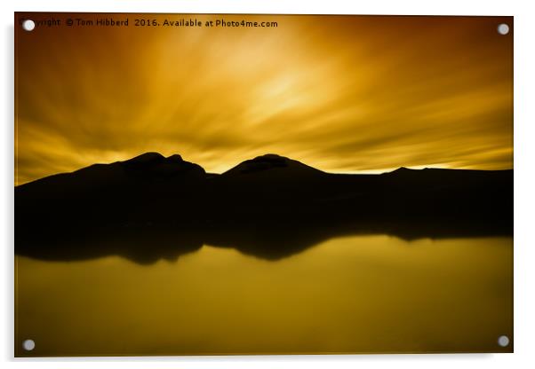 Northumberlandia, naked woman dressed in golden cl Acrylic by Tom Hibberd