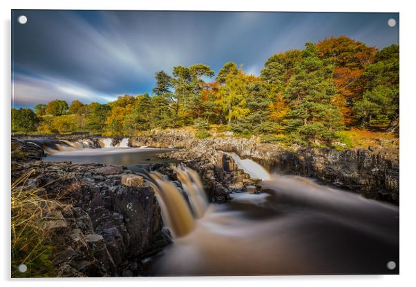Low Force waterfall, Teesdale Acrylic by Tom Hibberd