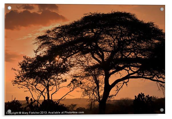 African Sunset Acrylic by Mary Fletcher