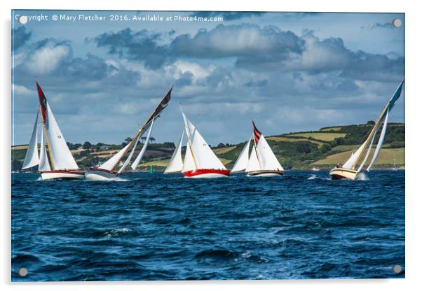 Falmouth Working Boats Race Acrylic by Mary Fletcher