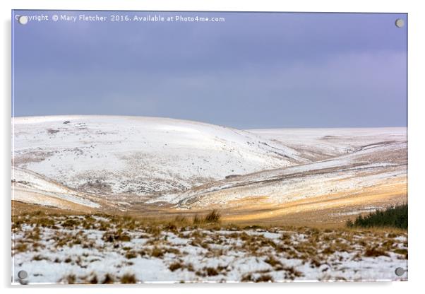 Dartmoor in the Snow Acrylic by Mary Fletcher