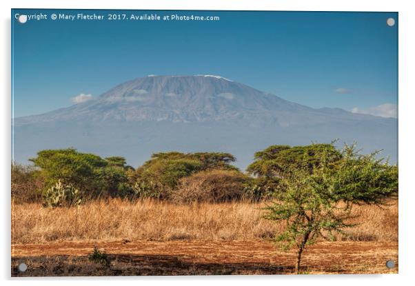 Mount Kilimanjaro Acrylic by Mary Fletcher