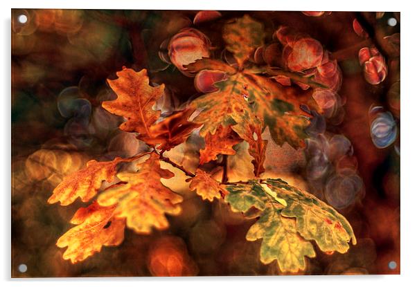 Colours of Oak Acrylic by Pauline Lewis