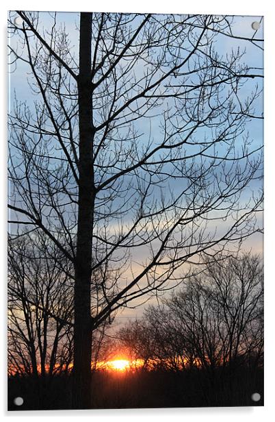 Sunrise Acrylic by stacey meyer