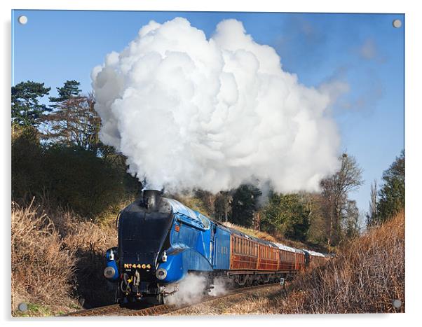 Steam train takes us back to the 1930s Acrylic by Ian Duffield