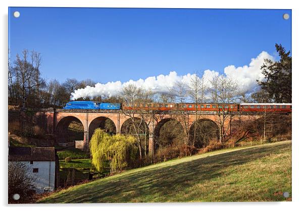 Bittern crossing Oldbury Viaduct Acrylic by Ian Duffield