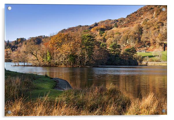 Rydal Water in Autumn  Acrylic by Ian Duffield