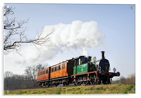  South Eastern Local Train Acrylic by Ian Duffield